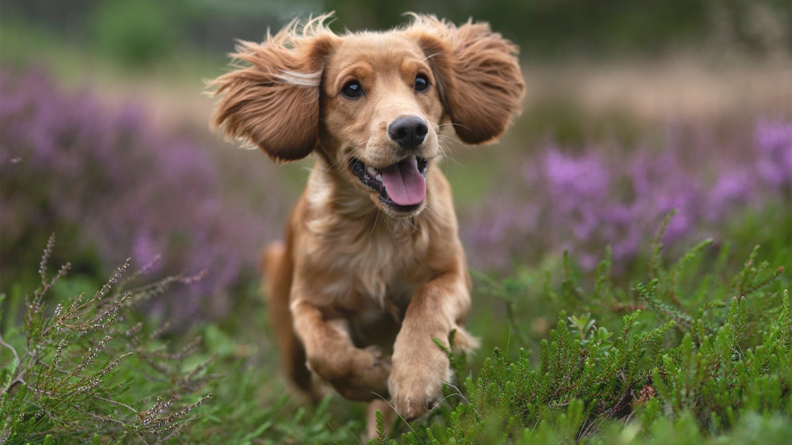 布克73分载入史册，活塞冷箭终结热火悬念