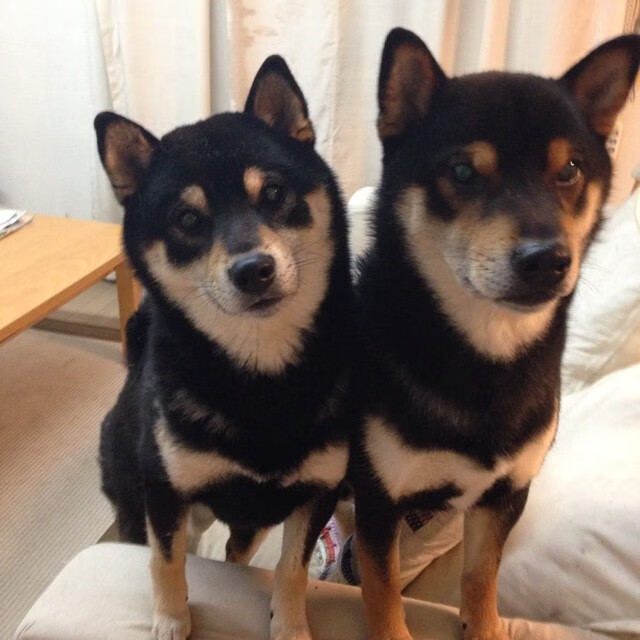 擎天之柱，总决赛之夜的浓眉，如何用防守撕裂苍穹