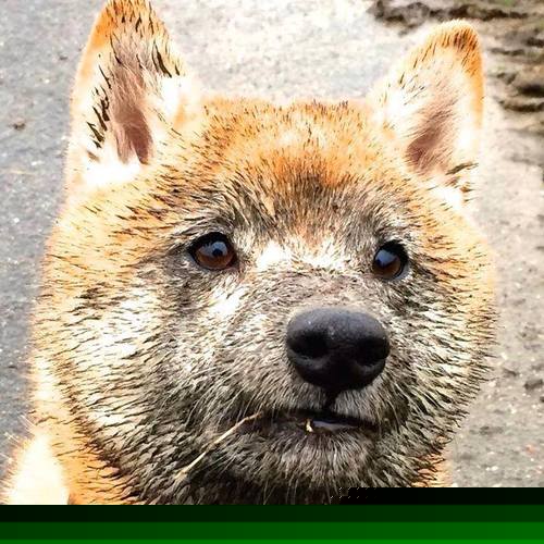 F1新赛季揭幕战点燃速度激情，比利亚雷亚尔欧战封锁希腊显防守艺术