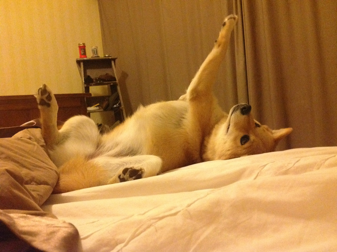 霸权降临!浓眉关键狂澜难敌雄鹿铁蹄碾压,尼克斯梦碎全面压制