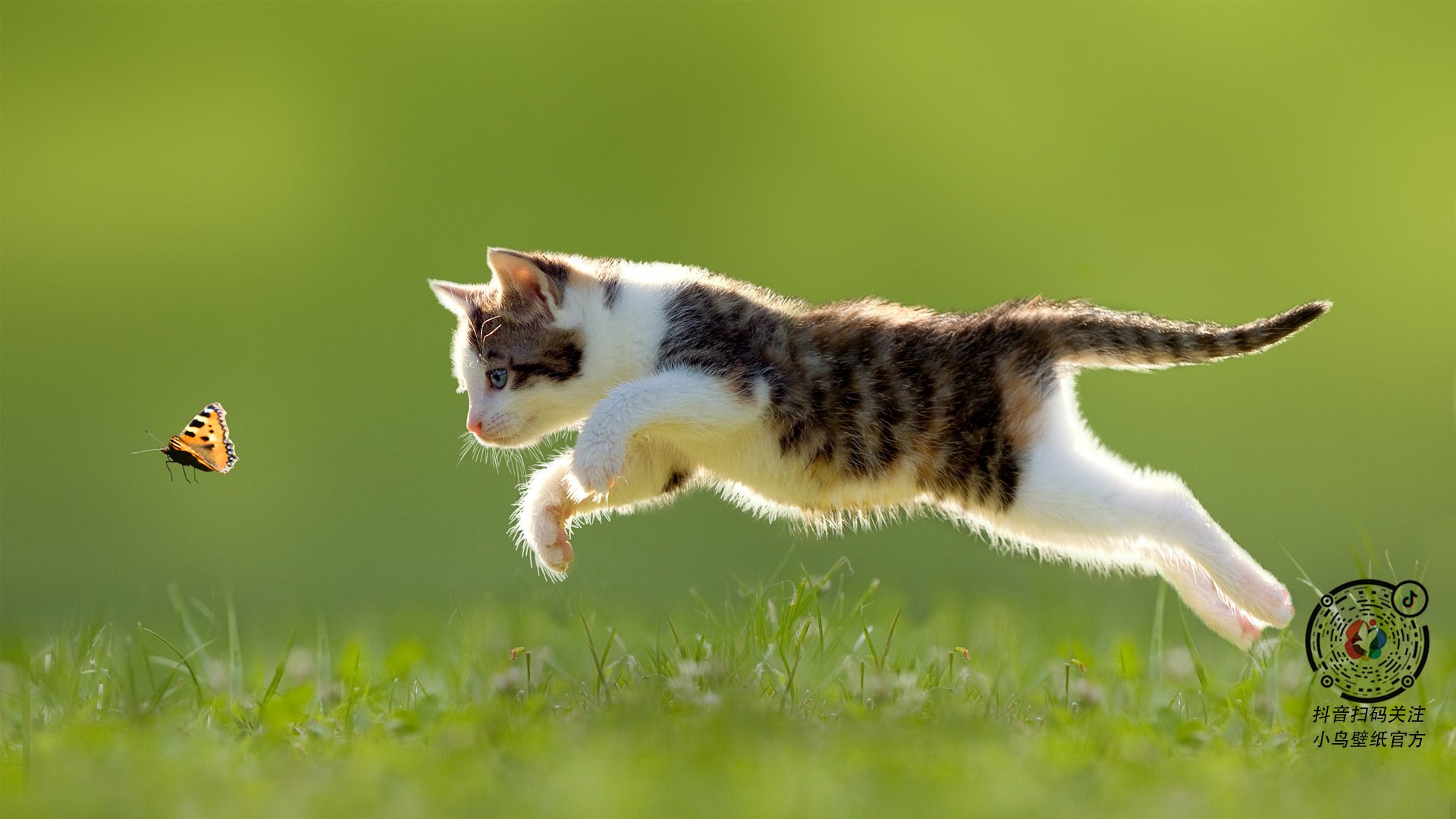 约基奇化身关键先生，吉林队强势粉碎开拓者迎来辉煌胜利