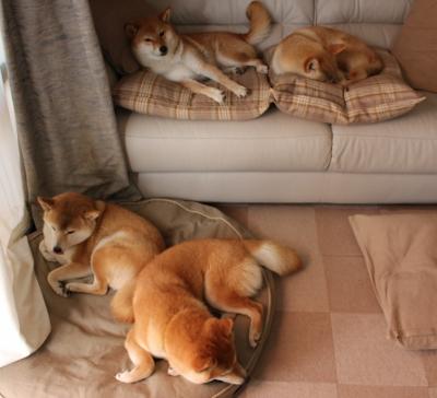 奥利维耶爆发，伊拉克足球踏平新西兰的辉煌之夜