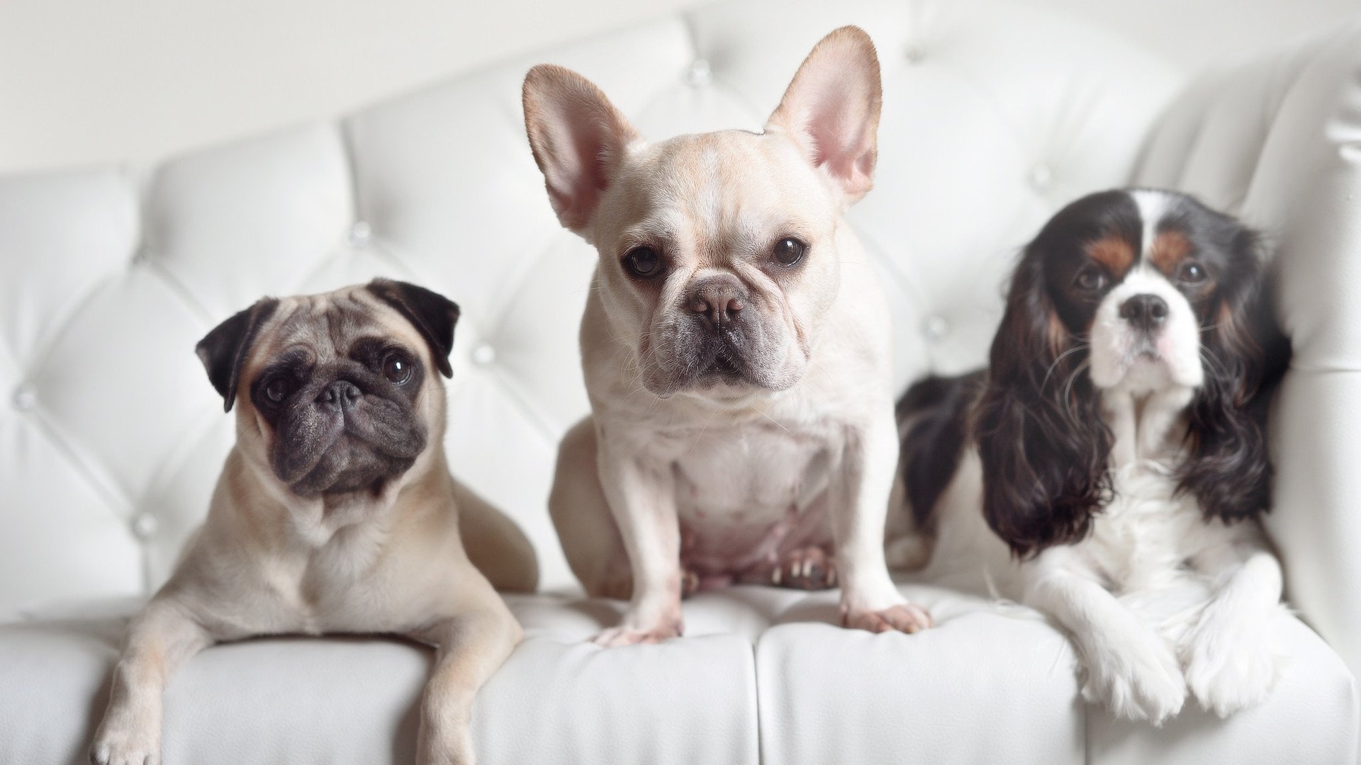 布伦森高光之战，独行侠逆境中的灯塔，照亮通往荣耀之路