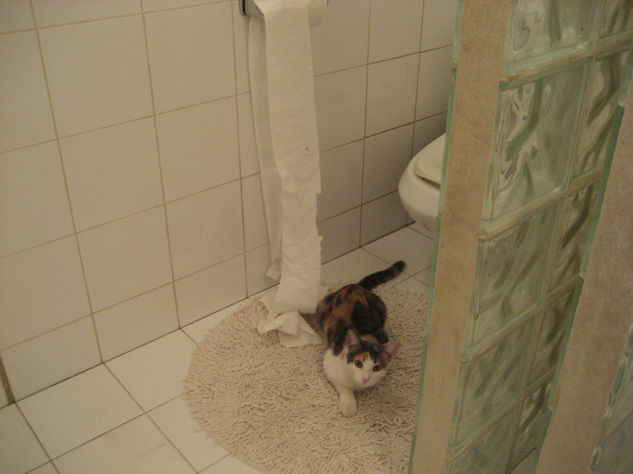 尤文绝境逢生！佩德里一锤定音助球队险胜克罗地亚