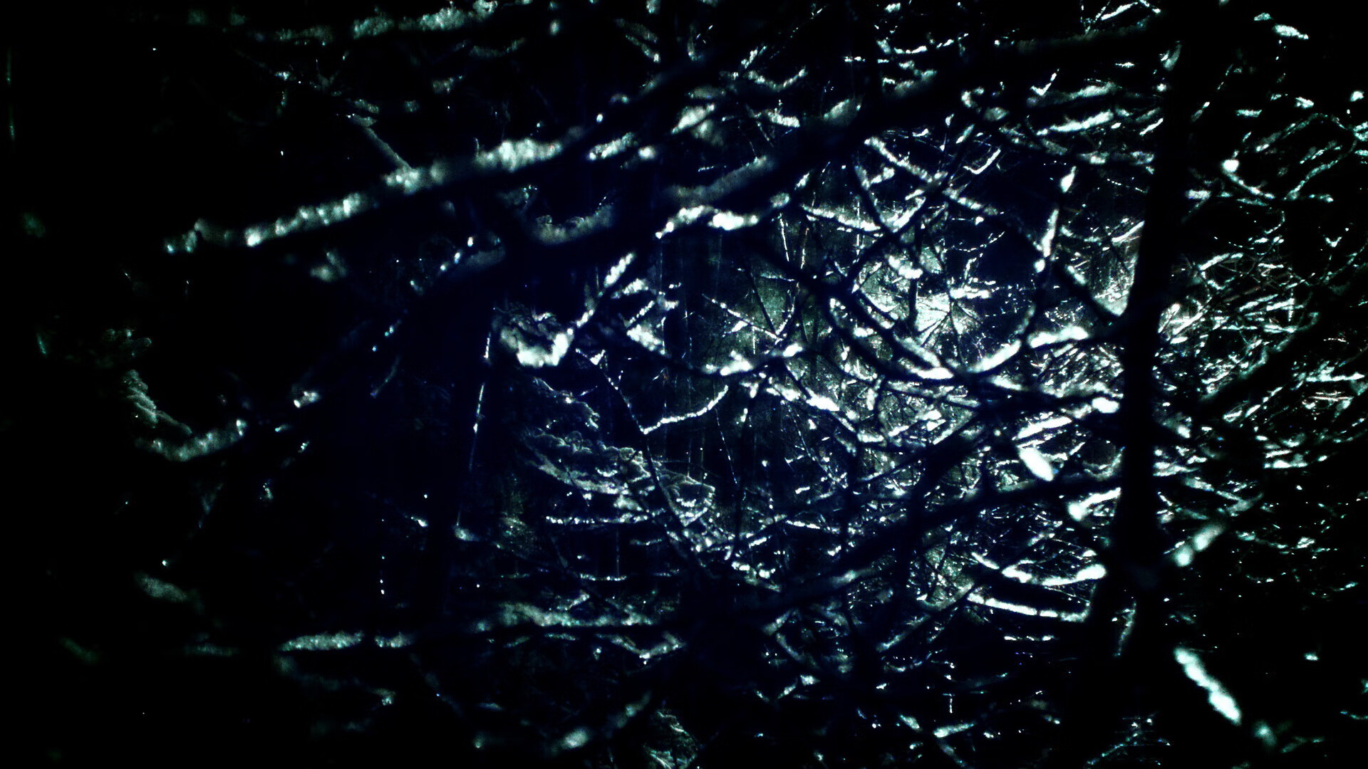 跨洋淬火，塔图姆率魔术生死战击碎辽宁，诠释现代篮球的终极答案