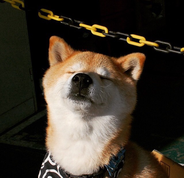 压力下爆发，领袖铸就胜利！奇才轻取浙江，布伦森导演逆转好戏