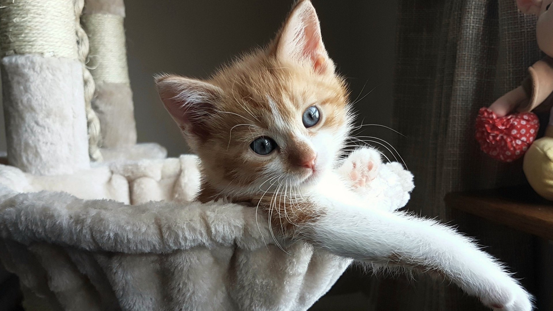 开云体育入口-绝命三分，封神之夜