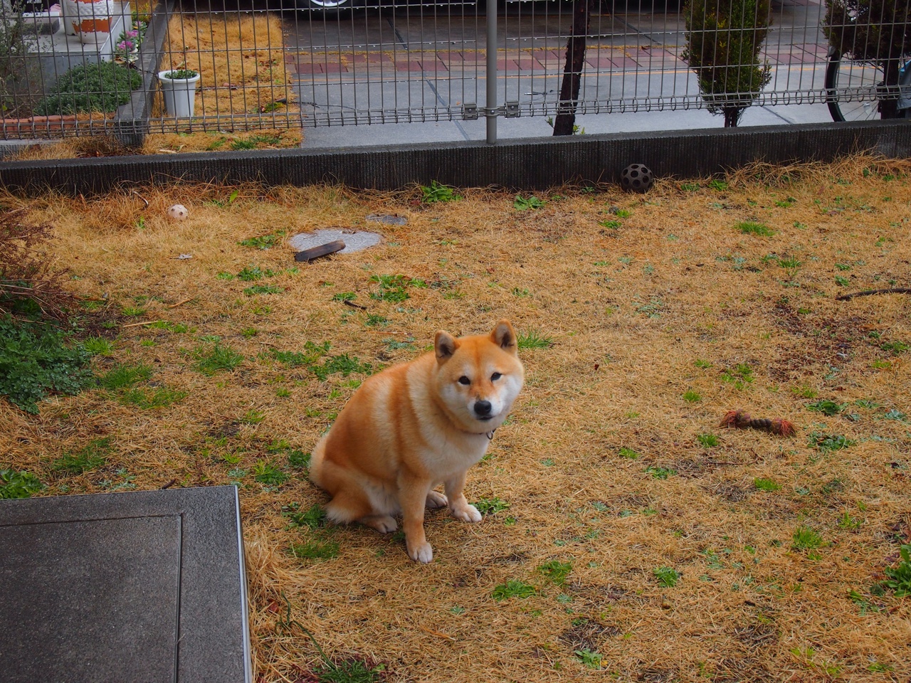 控场暴君，当保罗将国王防线撕成碎屑